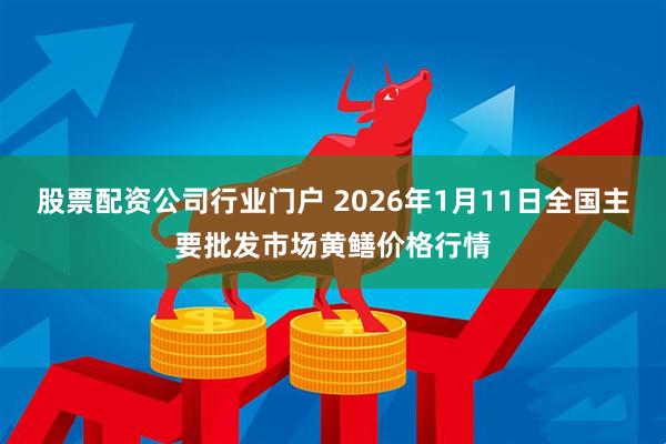 股票配资公司行业门户 2026年1月11日全国主要批发市场黄鳝价格行情