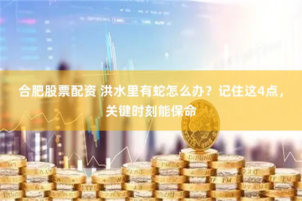 合肥股票配资 洪水里有蛇怎么办？记住这4点，关键时刻能保命
